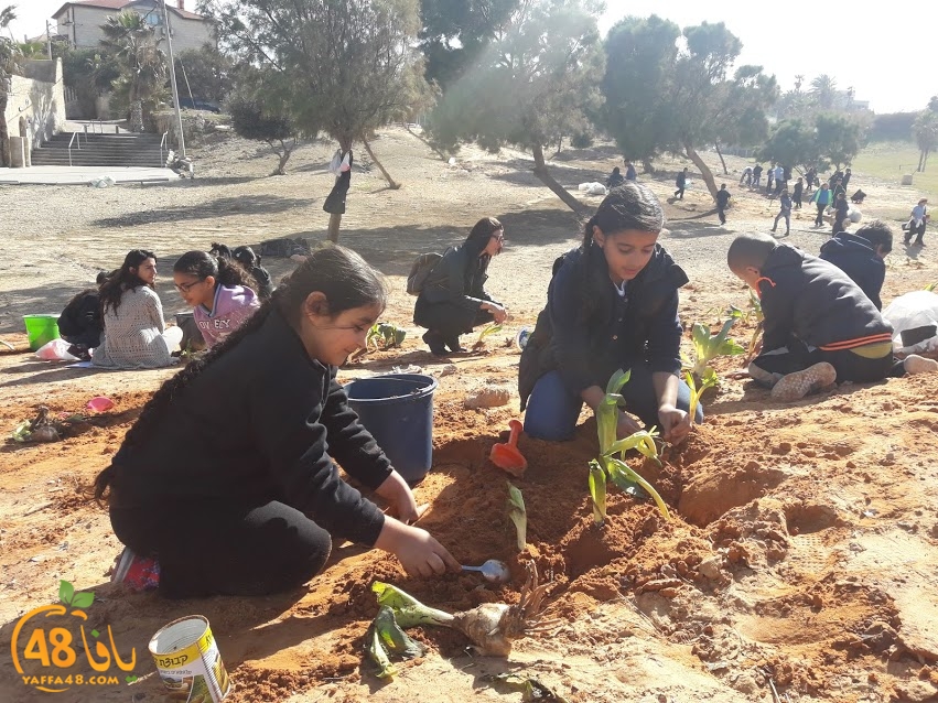 zr3 7san 3arafa (27).jpg